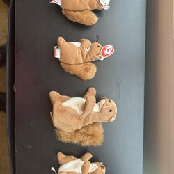 Lot of 4 TY Beanie Baby “Nuts the Squirrel” Plush – With Tags – Vintage TY Collectible