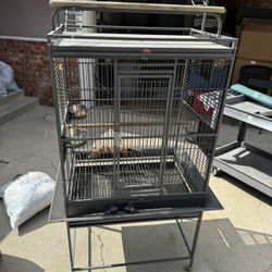 Bird Cage