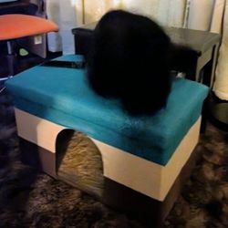 Kitty Cat Cove (Collapsible Bed) 