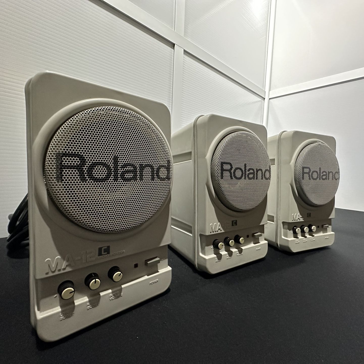 Roland MA-12C Stereo Micro Monitor Speaker