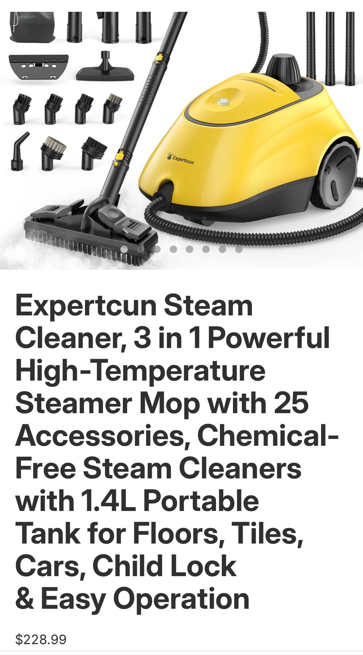 Steam Cleaner