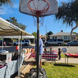Lifetime Portable Basketball Hoop