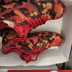 Nike SB Dubk Low The Wizard Of Oz Poppy Field