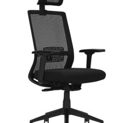 Ergonomic Desk Chair - New In Box