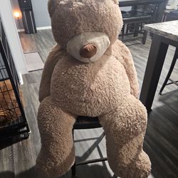 Huge Teddy Bear 🧸 $6