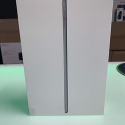 iPad Mini 5th Gen 256GB Silver 