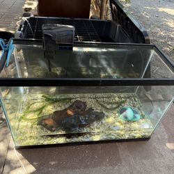 Fish Tank