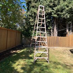 12’ Ladder