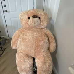 Giant Teddy Bear 