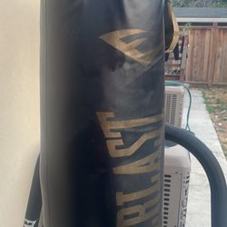 Boxing Bag With Speed Bag