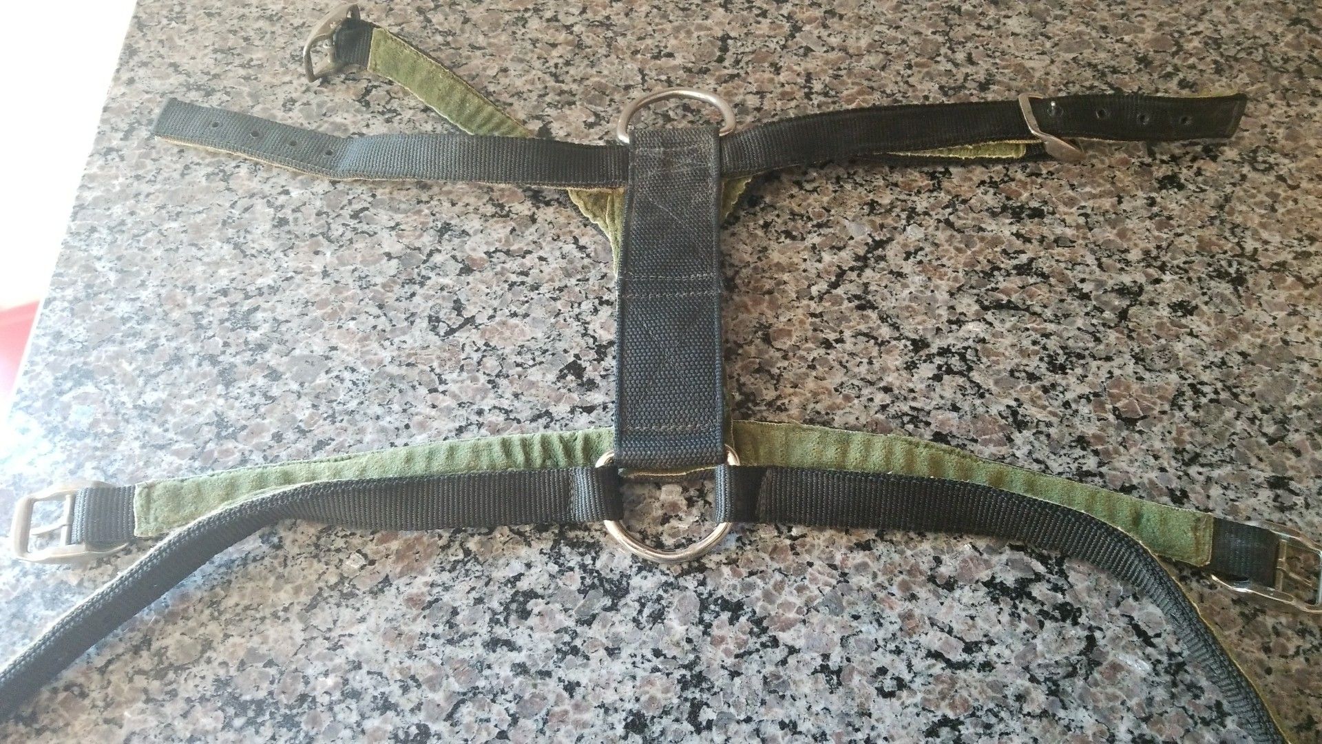 Heavy duty xxl dog harness