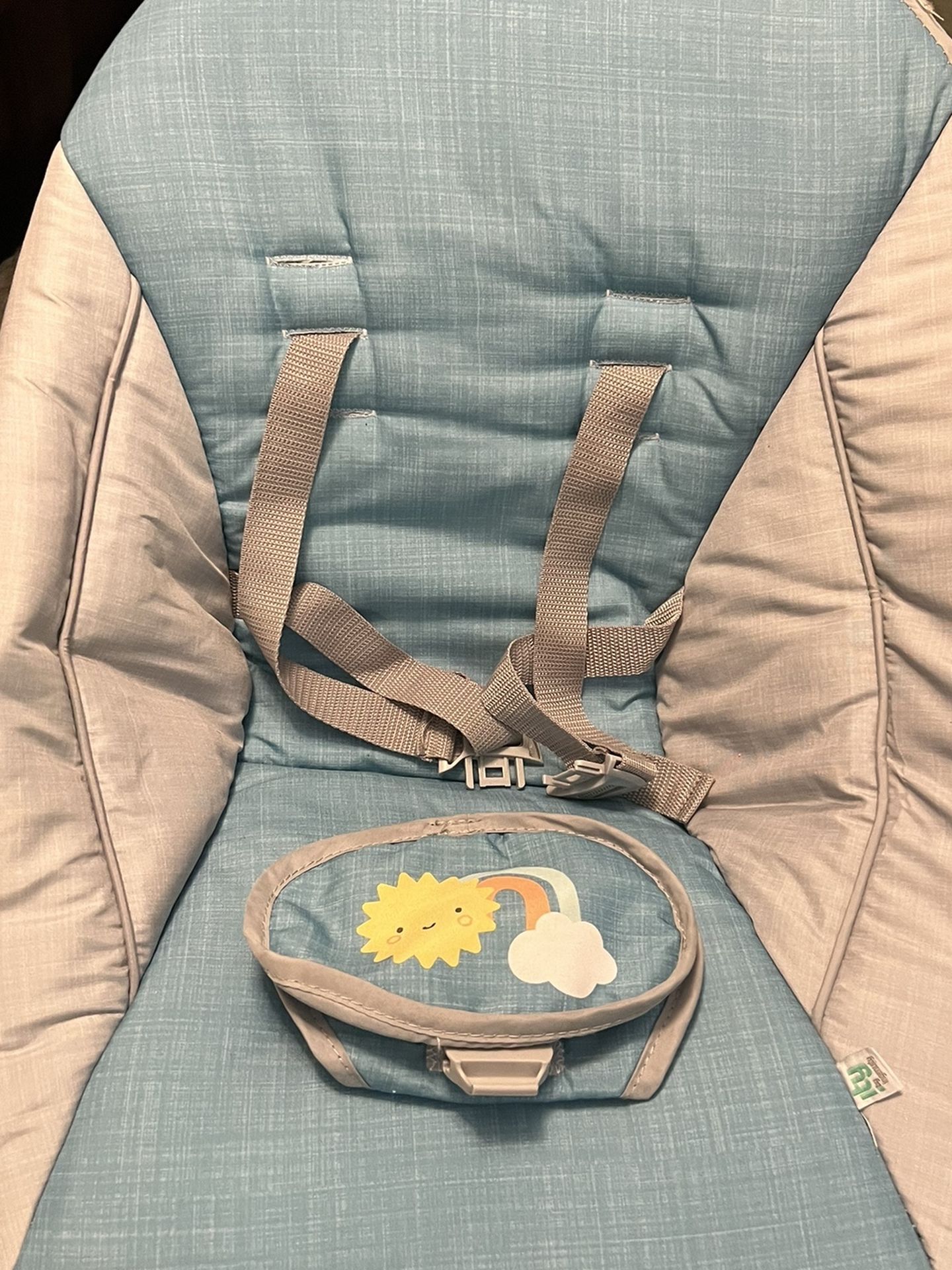 Ingenuity Canopy Swing 