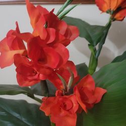 Faux Canna Lily Plant