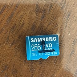Samsung 256GB Micro SD Card for Nintendo Switch/Android/Drone/Dashcam/Cameras