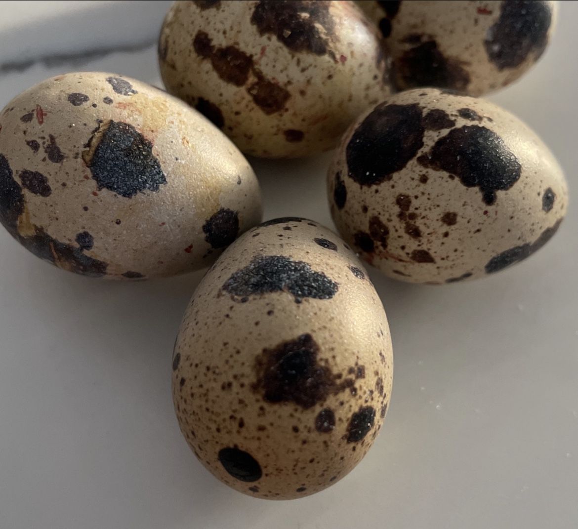 Fresh Quail Eggs
