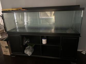 Fish Tank And Stand