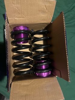 Dodge charger rear lowering springs