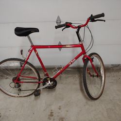 Fuji Mountain Bike
