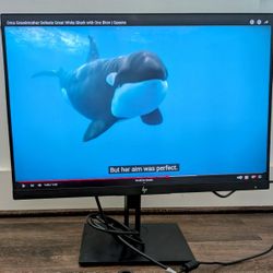 20 Inch HP Monitor 