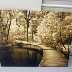 Canvas Art