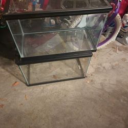 Fish Tank 