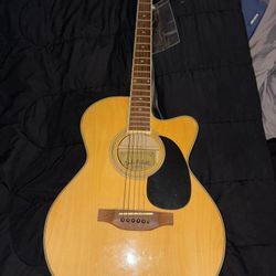 Rogue RD80PK Dreadnought Acoustic Guitar