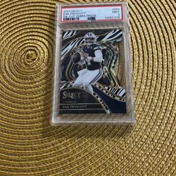 Select Case Hit, Die Cut Zebra. 