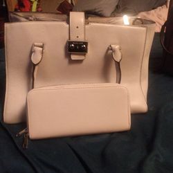 Michael Kors Purse With Wallet
