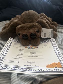 Build a bear spider