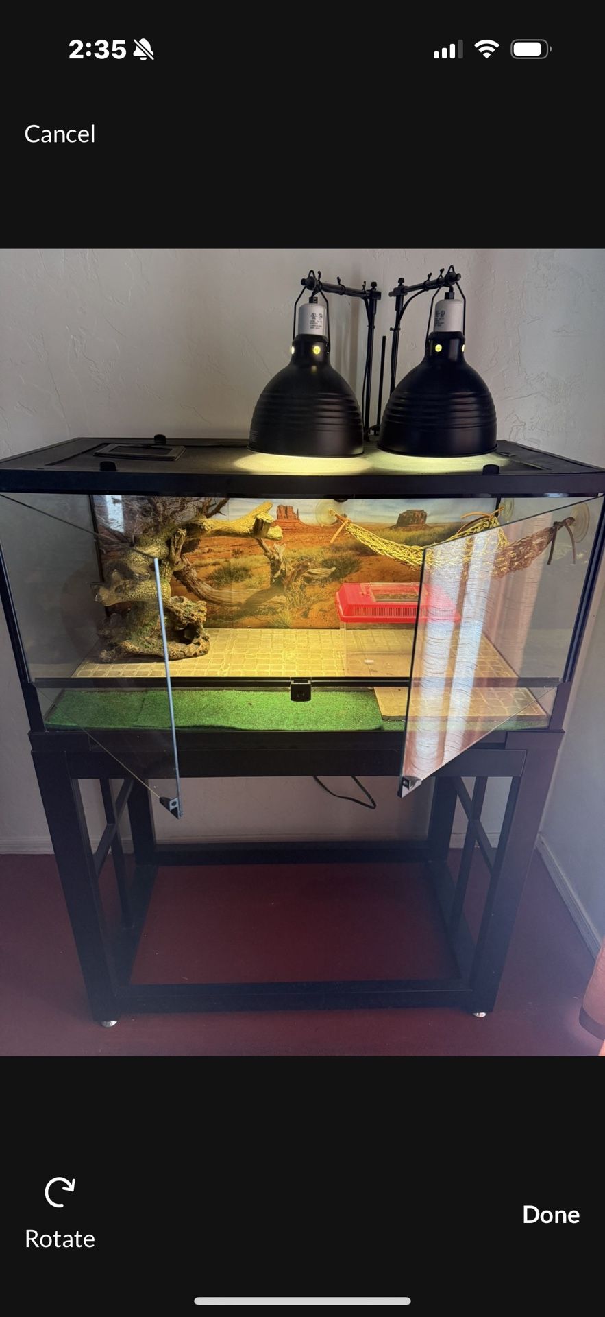 Reptile Cage, And Stand, Also Comes With Extra Items