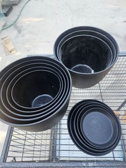 Black Plastic Plant Pots with Saucers