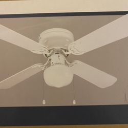 New Ceiling Fan