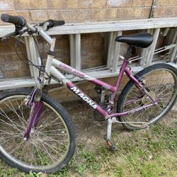 Mountain Bike  Fixer Upper