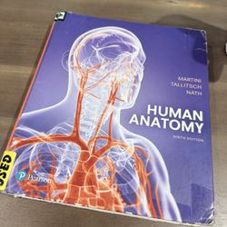 Human Anatomy