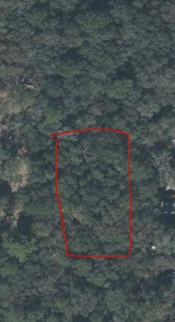.42 acre lot in Chiefland, FL