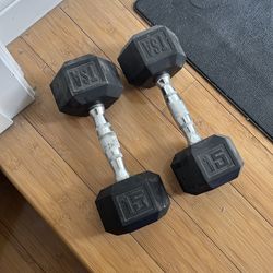 Pair of 15 pound weights