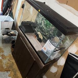 40 Gal Fish Tank W/ Storage & All Supplies 