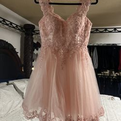 Blush Pink Dama Dress