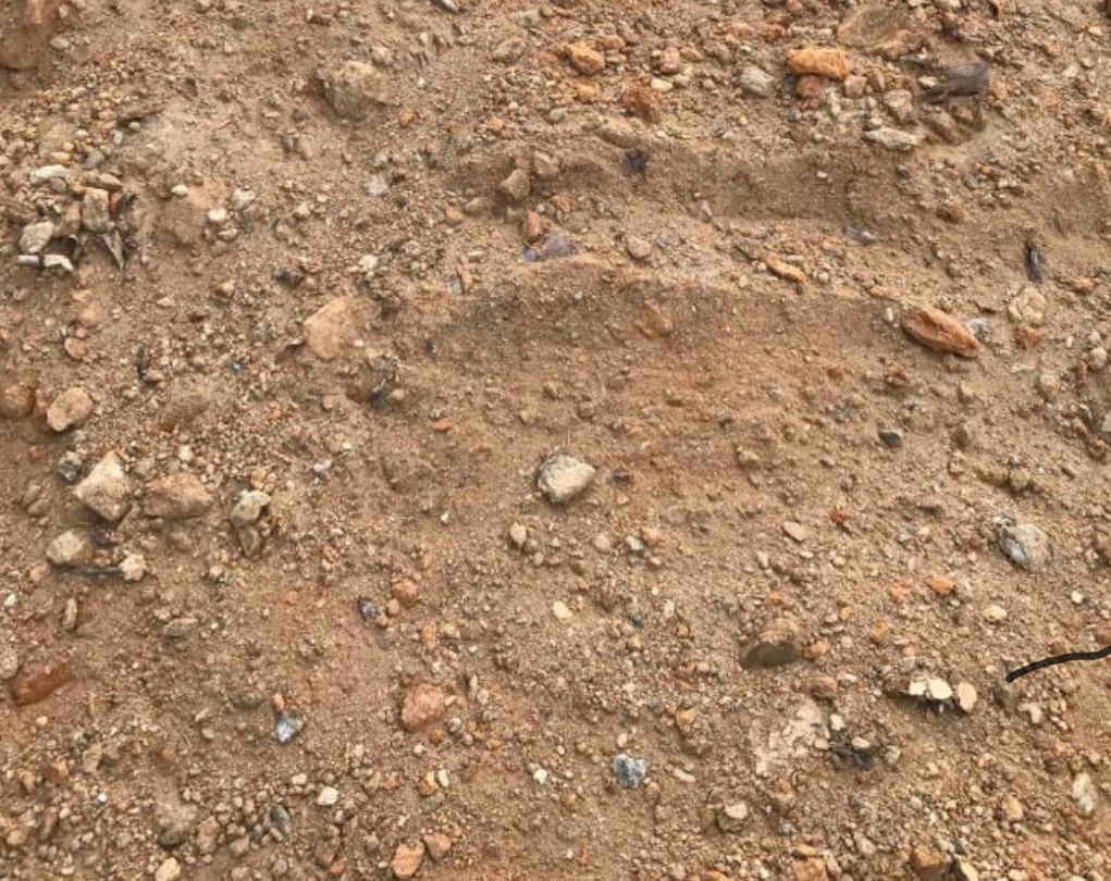 Dirt