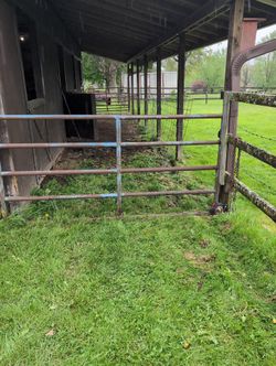 Bull Gates