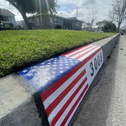 American flag. Curb Address