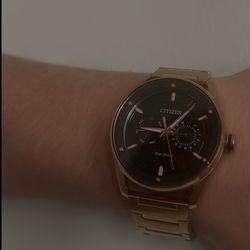 CITIZEN Gold Plated Men’s Watch