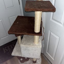 Cat Home / Tower