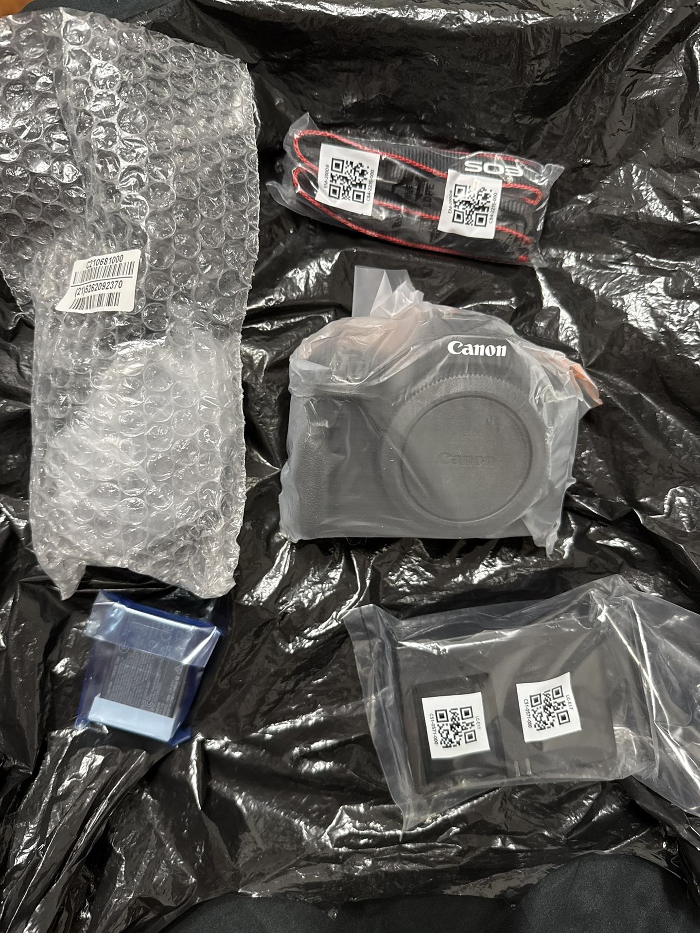 Cannon EOS R50