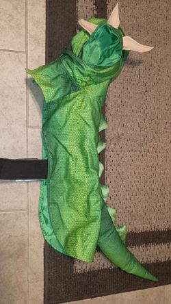 Dog dragon costume size large