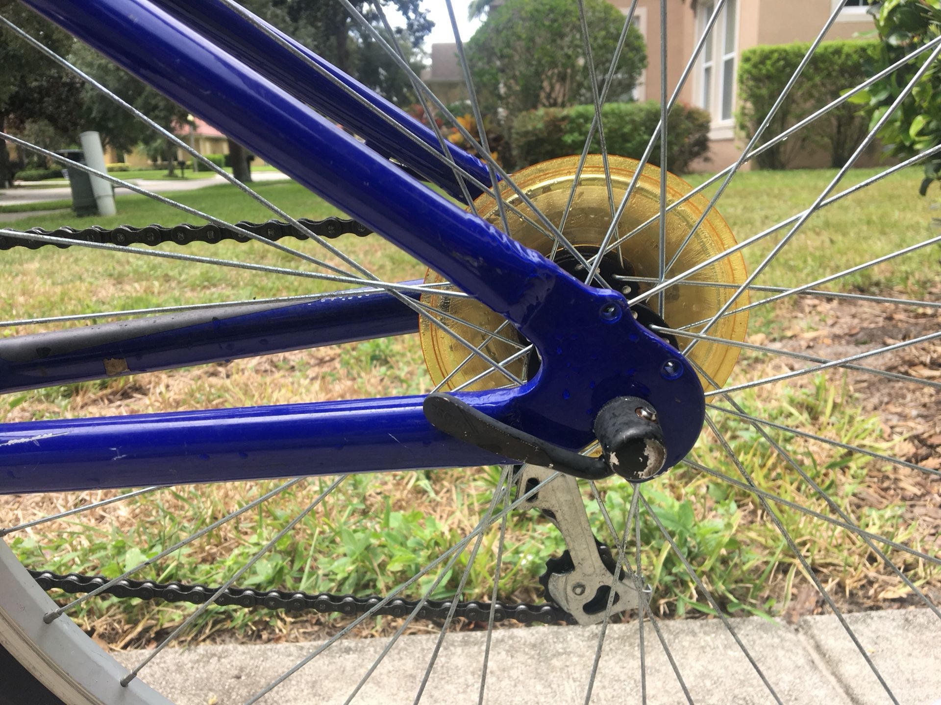 Newton fs 2025 gravity bike