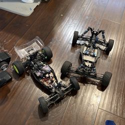 RC Car Team Losi Buggy And Truck