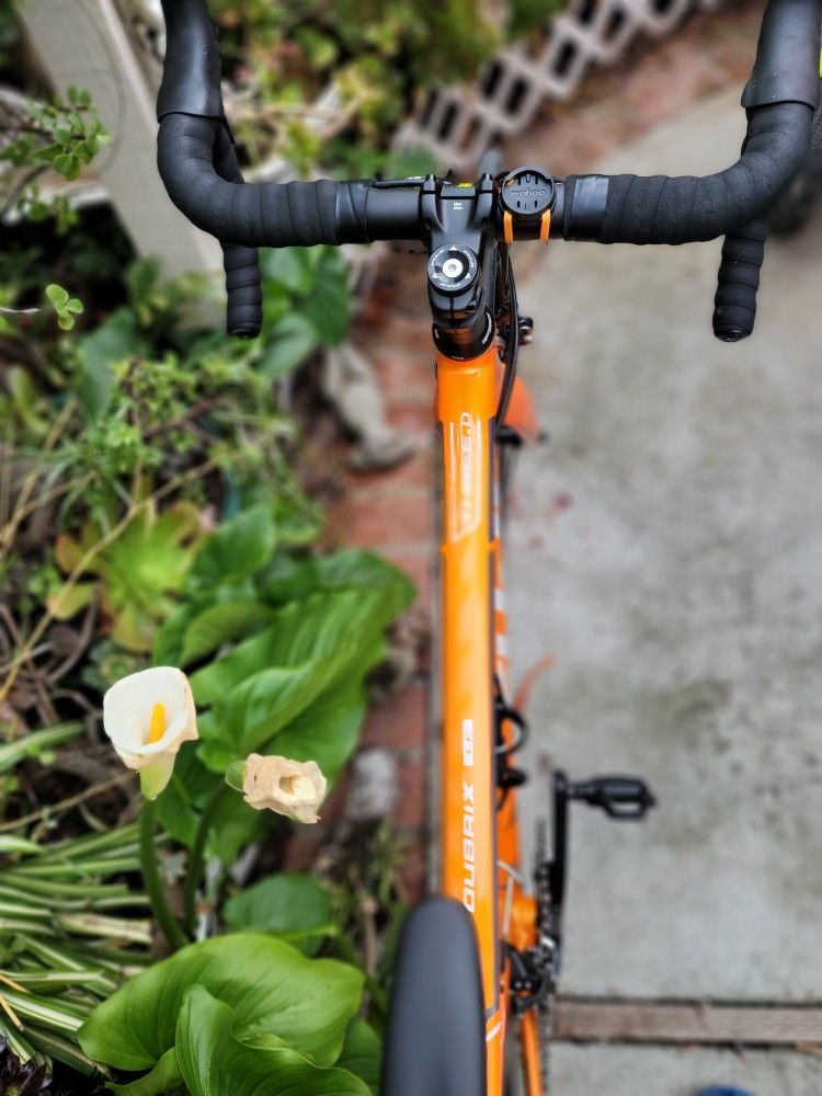 Fuji Roubaix LE three.0 Performance Bike Exclusive for Sale in San