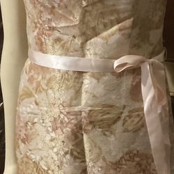 Ann Taylor Stappless Dress