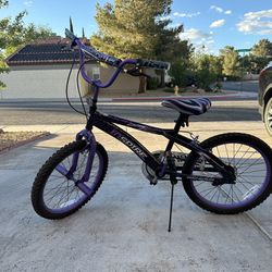 Purple Bicycle 